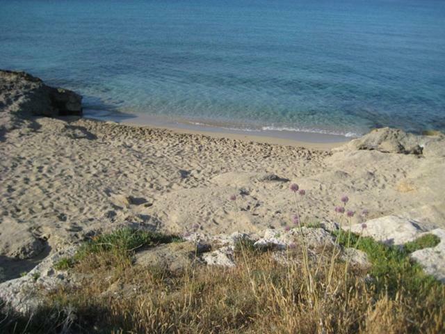Villa Attico A 150 Mt Dal Mare Marina di Mancaversa Exterior foto